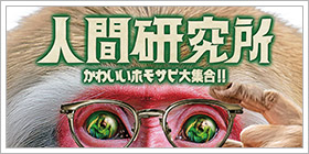 人間研究所 ～かわいいホモサピ大集合!!～